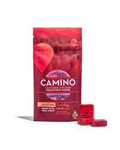 Camino - CHEWS FOREST BERRY