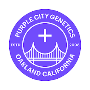 Purple city genetics - GMO COOKIES