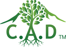 C.A.D. - ORIGINAL GREEN CREAM - 2OZ
